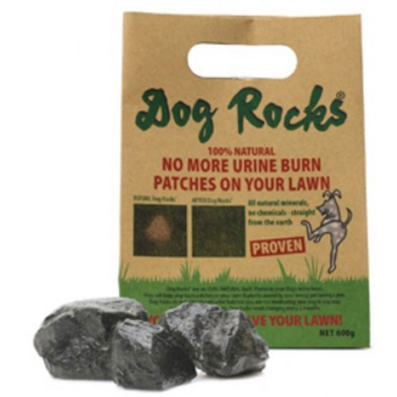 Hund Rocks Pet Urin Lugte eliminator