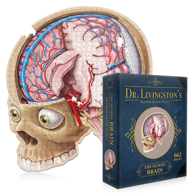 Dr. Livingstons Anatomy Jigsaw -puslespil