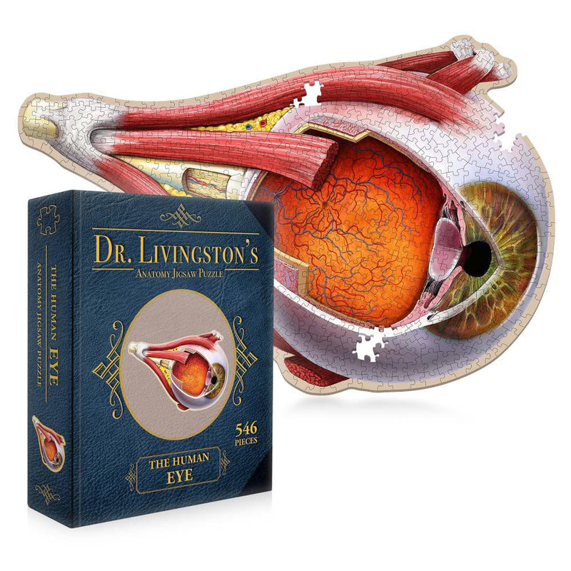 Dr. Livingstons Anatomie -Puzzle -Puzzle