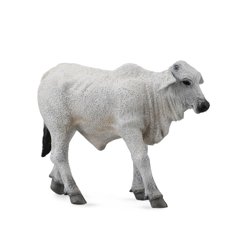 Collecta Brahman Calf Figur (lille)