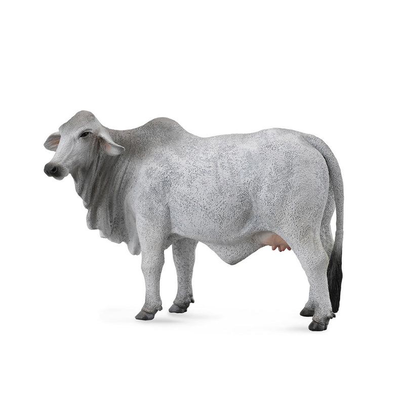 Collecta Brahman Cow Figur (stor)