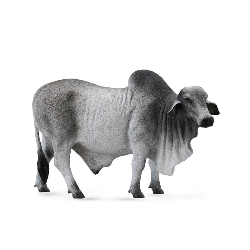 Collecta Brahman Bull Figur (stor)