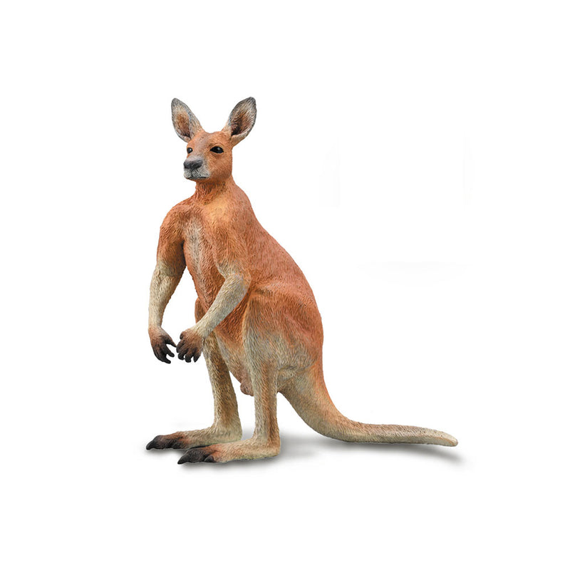 Collecta Red Kangaroo (stor)