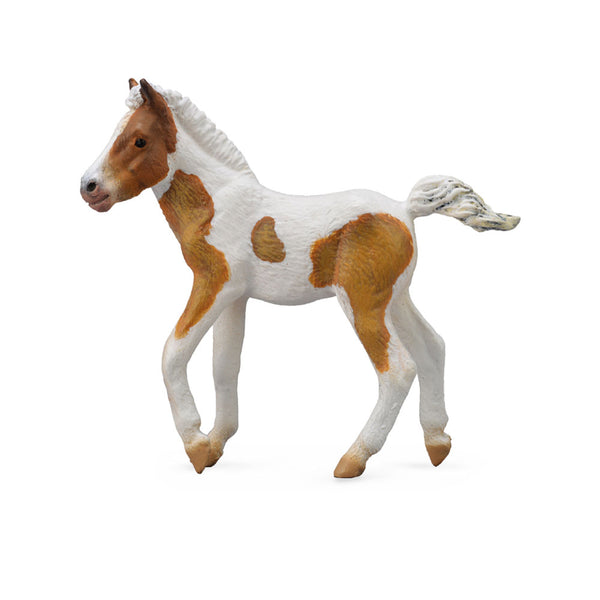 CollectA Dartmoor Hill Foal Figure (Medium)