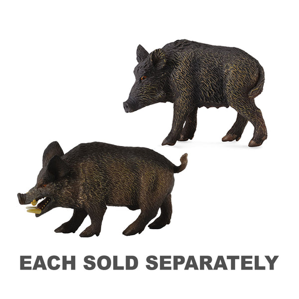 CollectA Wild Pig Figure (Medium)