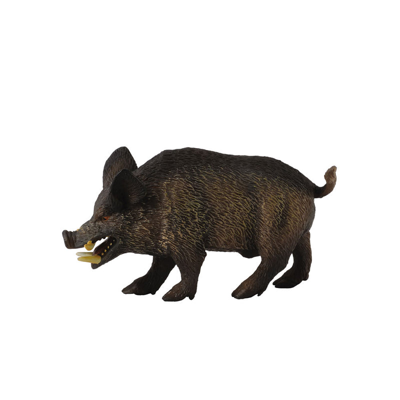 Collecta Wild Pig Figur (medium)