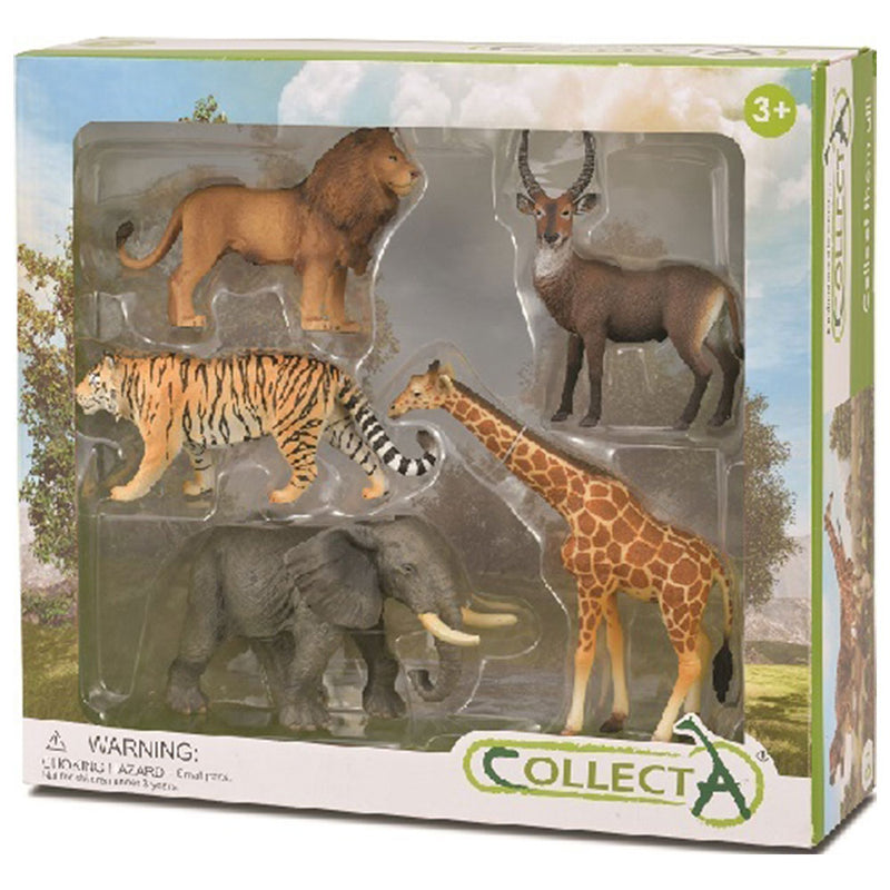 Collecta Wild Life 5-teiliges Geschenkset