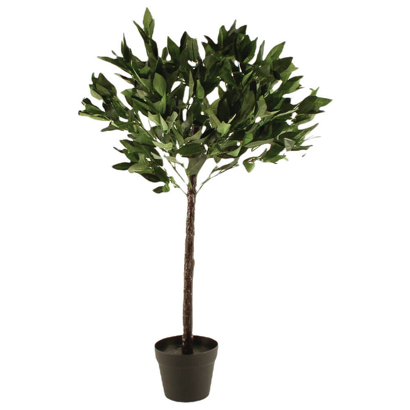 Plante i pot 60 cm