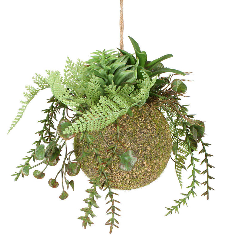 Moana Kokedama blandet hængende