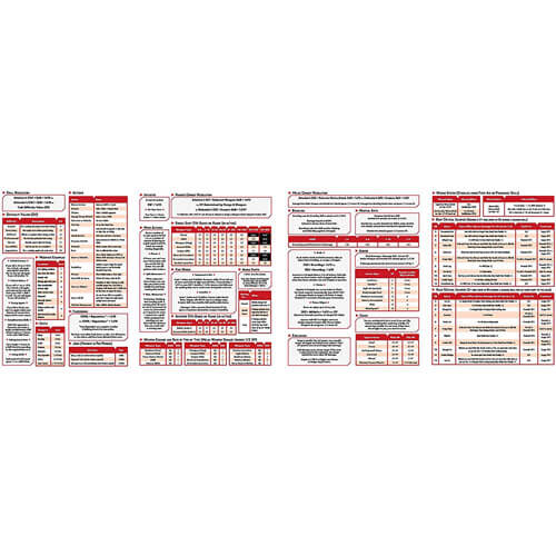 Cyberpunk Red RPG Data Screen